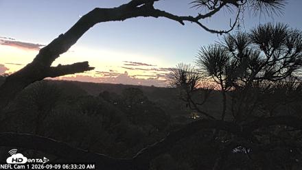 NE Florida Eagles Live Webcam - Sep 9, 2026, 6:35am EDT