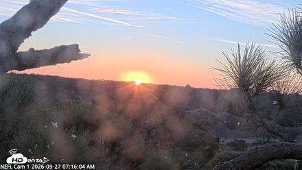 NE Florida Eagles Live Webcam - Sep 27, 2026, 7:16am EDT