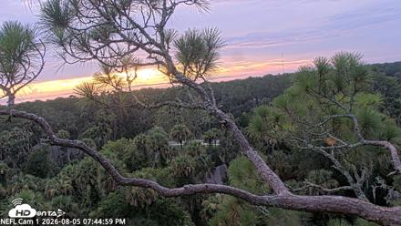 NE Florida Eagles Live Webcam - Aug 5, 2026, 7:45pm EDT