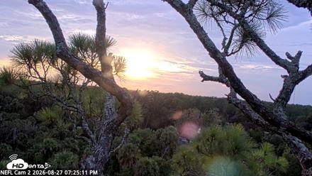 NE Florida Eagles Live Webcam - Aug 27, 2026, 7:26pm EDT