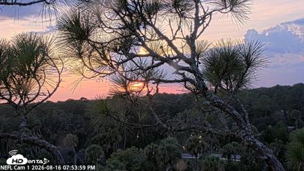NE Florida Eagles Live Webcam - Aug 16, 2026, 7:54pm EDT