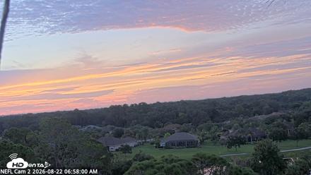 NE Florida Eagles Live Webcam - Aug 22, 2026, 6:58am EDT