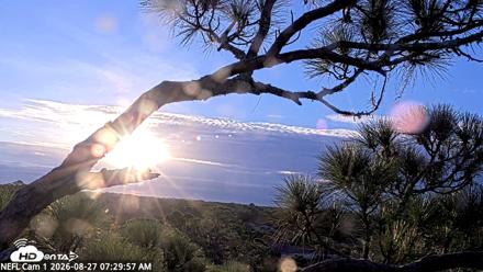 NE Florida Eagles Live Webcam - Aug 27, 2026, 7:32am EDT
