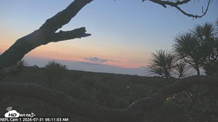 NE Florida Eagles Live Webcam - Jul 31, 2026, 6:13am EDT