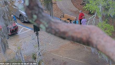 NE Florida Eagles Live Webcam - Mar 16, 2026, 6:48pm EDT