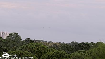 NE Florida Eagles Live Webcam - Oct 3, 2026, 10:35am EDT