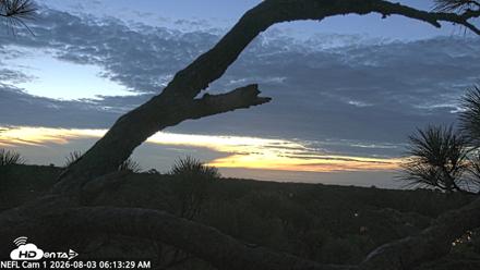 NE Florida Eagles Live Webcam - Aug 3, 2026, 6:14am EDT