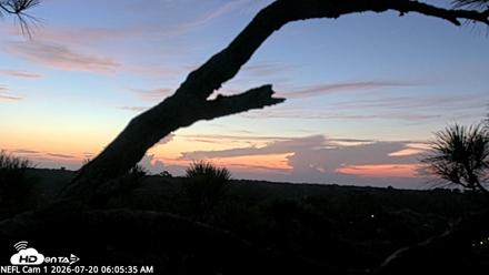 NE Florida Eagles Live Webcam - Jul 20, 2026, 6:06am EDT