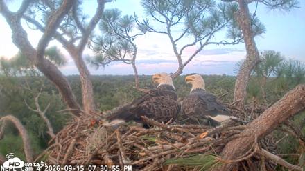 NE Florida Eagles Live Webcam - Sep 15, 2026, 7:31pm EDT