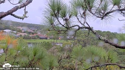 NE Florida Eagles Live Webcam - Oct 6, 2026, 3:56pm EDT