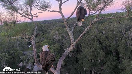 NE Florida Eagles Live Webcam - Sep 27, 2026, 7:15pm EDT