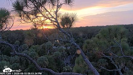 NE Florida Eagles Live Webcam - Aug 10, 2026, 8:04pm EDT