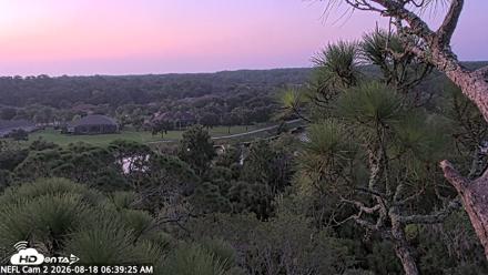 NE Florida Eagles Live Webcam - Aug 18, 2026, 6:40am EDT