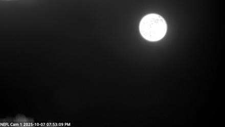 NE Florida Eagles Live Webcam - Oct 7, 2025, 7:54pm EDT