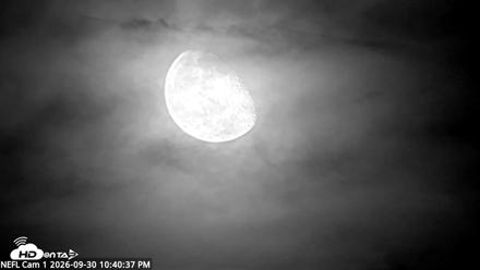 NE Florida Eagles Live Webcam - Sep 30, 2026, 10:41pm EDT