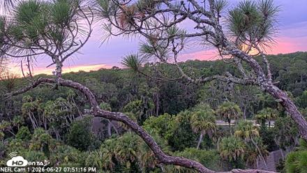 NE Florida Eagles Live Webcam - Jun 27, 2026, 7:52pm EDT