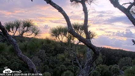 NE Florida Eagles Live Webcam - Sep 8, 2026, 7:31pm EDT
