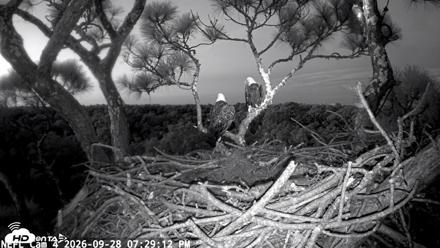 NE Florida Eagles Live Webcam - Sep 28, 2026, 7:30pm EDT