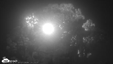 NE Florida Eagles Live Webcam - Jul 27, 2026, 9:24pm EDT