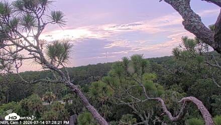 NE Florida Eagles Live Webcam - Jul 14, 2026, 7:29pm EDT