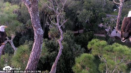 NE Florida Eagles Live Webcam - Sep 26, 2026, 7:25pm EDT