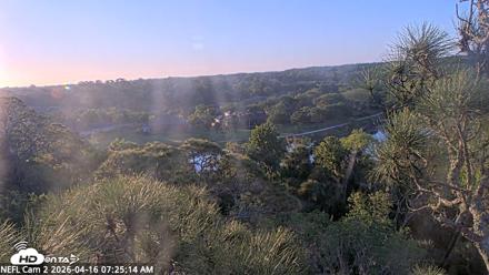 NE Florida Eagles Live Webcam - Apr 16, 2026, 7:25am EDT