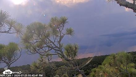 NE Florida Eagles Live Webcam - Jul 25, 2026, 5:46pm EDT