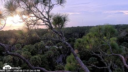 NE Florida Eagles Live Webcam - Aug 27, 2026, 7:25pm EDT