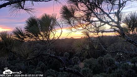 NE Florida Eagles Live Webcam - Sep 5, 2026, 7:52pm EDT