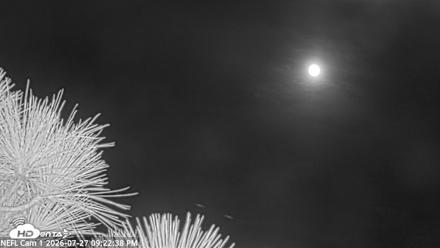 NE Florida Eagles Live Webcam - Jul 27, 2026, 9:23pm EDT