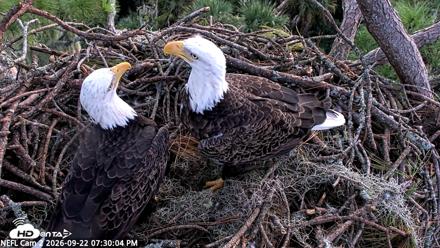 NE Florida Eagles Live Webcam - Sep 22, 2026, 7:30pm EDT