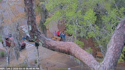 NE Florida Eagles Live Webcam - Mar 16, 2026, 6:49pm EDT
