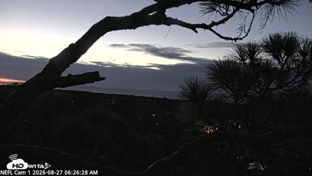 NE Florida Eagles Live Webcam - Aug 27, 2026, 6:27am EDT