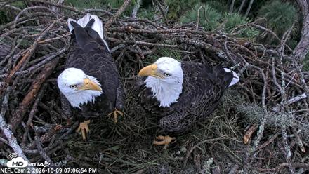 NE Florida Eagles Live Webcam - Oct 9, 2026, 7:07pm EDT