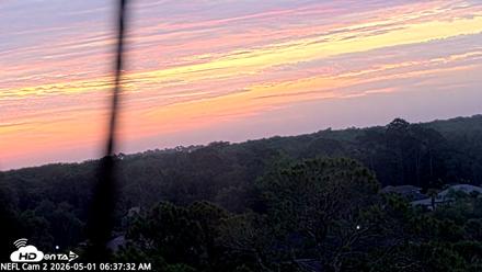 NE Florida Eagles Live Webcam - May 1, 2026, 6:38am EDT