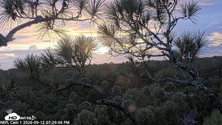 NE Florida Eagles Live Webcam - Sep 12, 2026, 7:30pm EDT