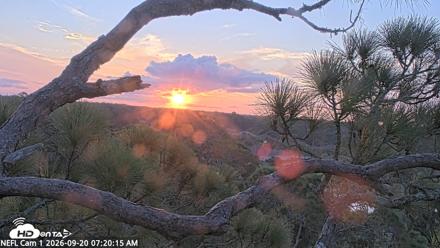 NE Florida Eagles Live Webcam - Sep 20, 2026, 7:21am EDT