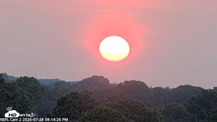 NE Florida Eagles Live Webcam - Jul 28, 2026, 8:15pm EDT