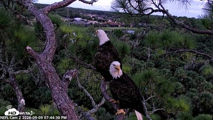 NE Florida Eagles Live Webcam - Sep 9, 2026, 7:45pm EDT