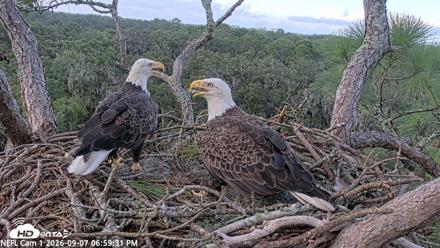 NE Florida Eagles Live Webcam - Sep 7, 2026, 7:00pm EDT