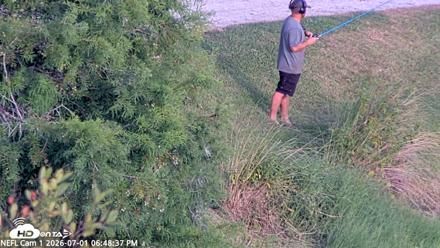 NE Florida Eagles Live Webcam - Jul 1, 2026, 6:49pm EDT