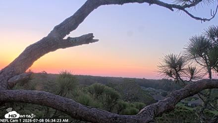 NE Florida Eagles Live Webcam - Jul 8, 2026, 6:36am EDT