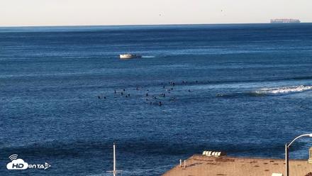 Malibu Point Live Surf Cam - Oct 14, 2026, 7:56am PDT