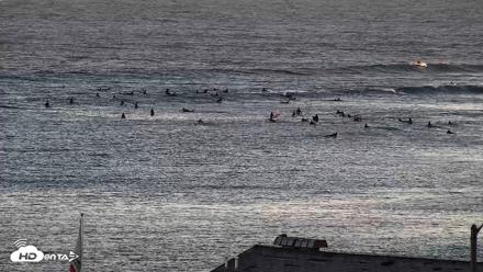 Malibu Point Live Surf Cam - Jul 2, 2026, 7:41pm PDT