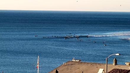 Malibu Point Live Surf Cam - Nov 25, 2025, 7:34am PST