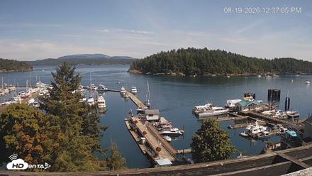 Friday Harbor - San Juan Island Live Webcam - Aug 19, 2026, 12:37pm PDT
