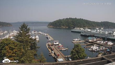 Friday Harbor - San Juan Island Live Webcam - Aug 5, 2026, 2:00pm PDT