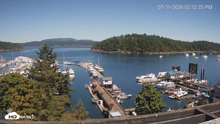 Friday Harbor - San Juan Island Live Webcam - Jul 31, 2026, 2:33pm PDT