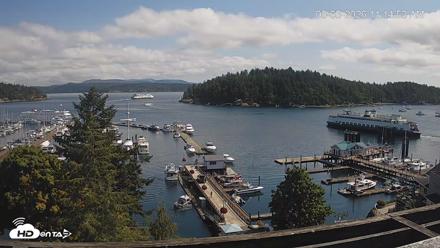 Friday Harbor - San Juan Island Live Webcam - Aug 3, 2026, 11:15am PDT