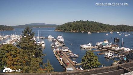 Friday Harbor - San Juan Island Live Webcam - Aug 8, 2026, 2:58pm PDT